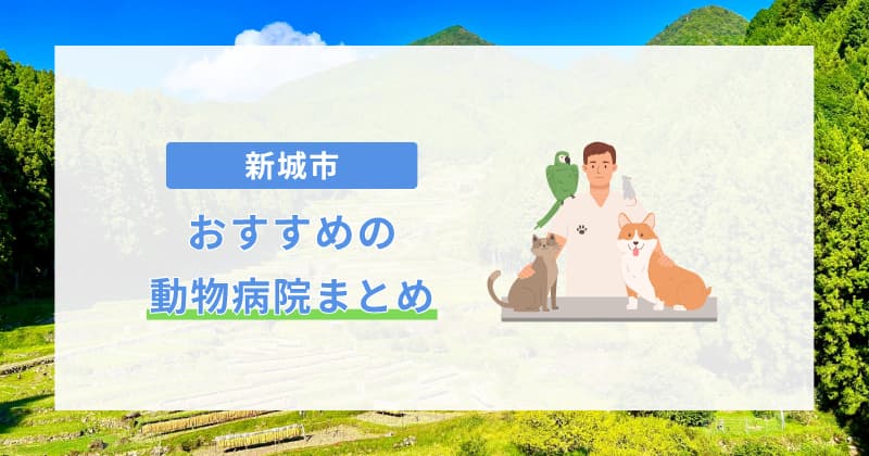 新城 動物病院 まとめ