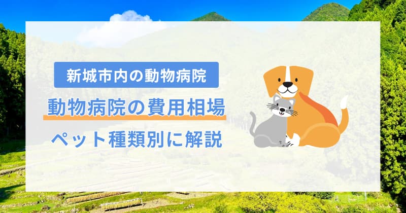 新城 動物病院 費用