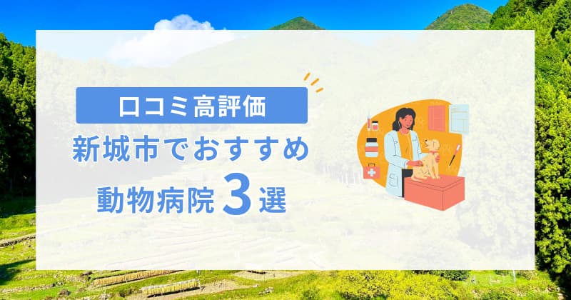 新城 動物病院